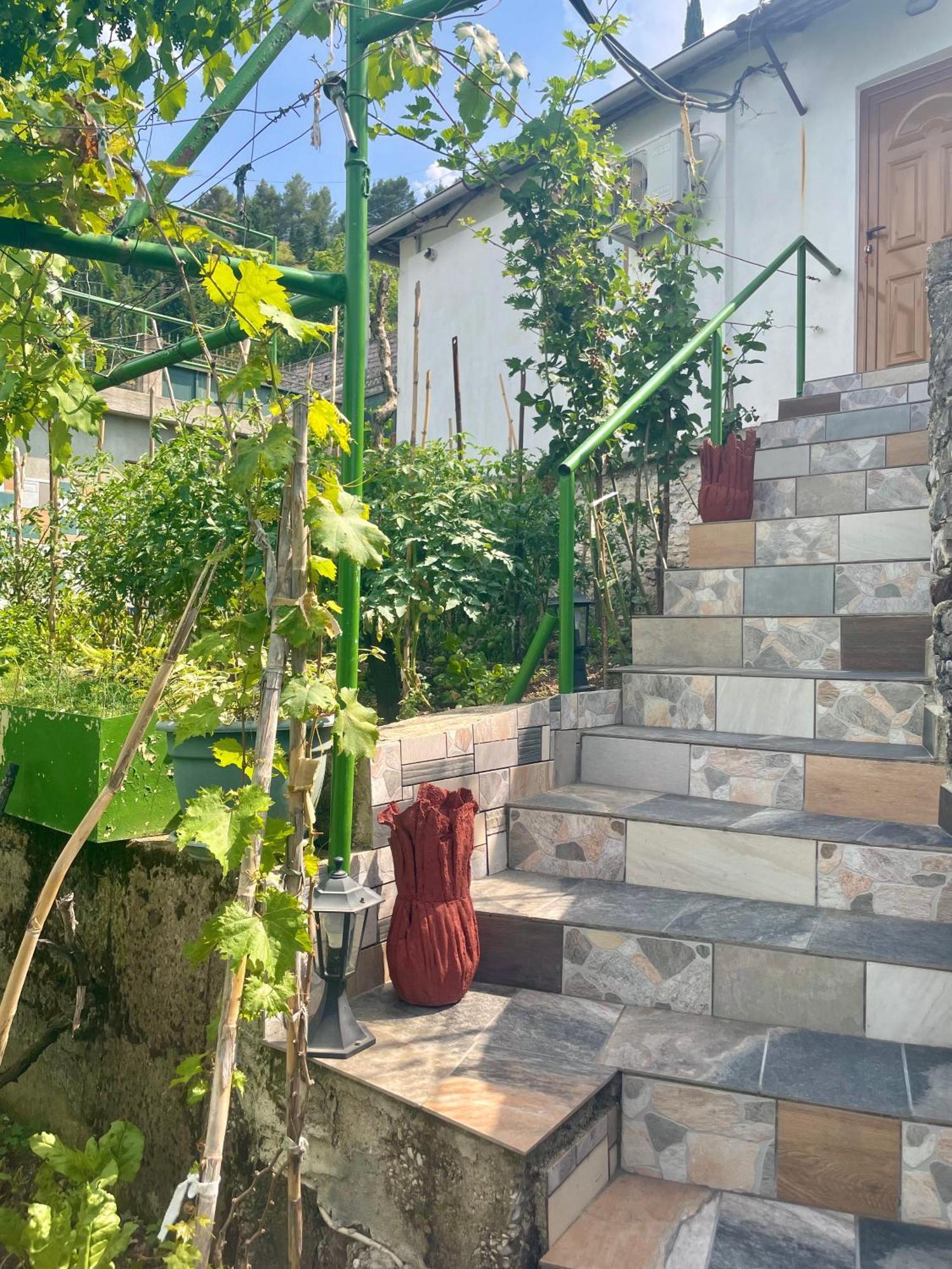 Panoramic View Guest House Gjirokastër Exterior foto